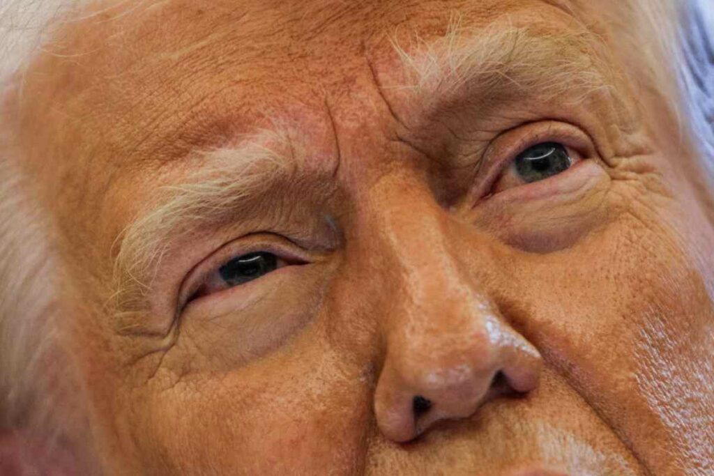 Il nuovo presidente degli USA, Donald Trump - prestiti.com