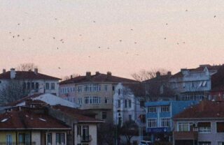 Case e condomini: panorama cittadino
